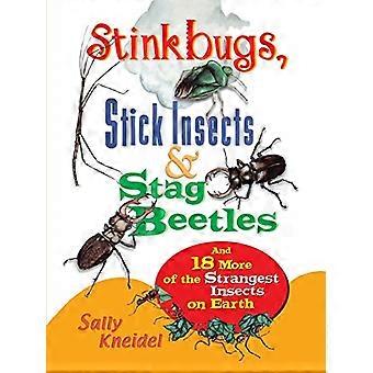 Stinkbugs, Stick hyönteiset ja Stag kovakuoriaisia: ja 18 muuta Omituisin hyönteisiä maapallolla