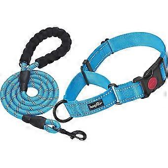 Dog Collar 2 Pack Martingale Dog Training Collars with Quick Release Buckle Reflective Training Collars for Small, Medium and Large Dogs