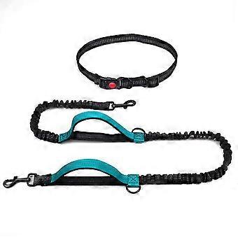 2026 Latest Model Pet Leash Outdoor Running Reflective Double Retractable Dog