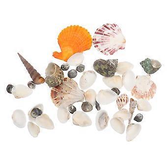 Shell Adornments Fish Tank Decor for 2 Bags Aquarium Landscaping