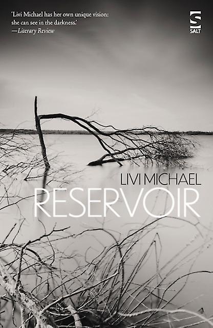 Reservoir - Livi Michael