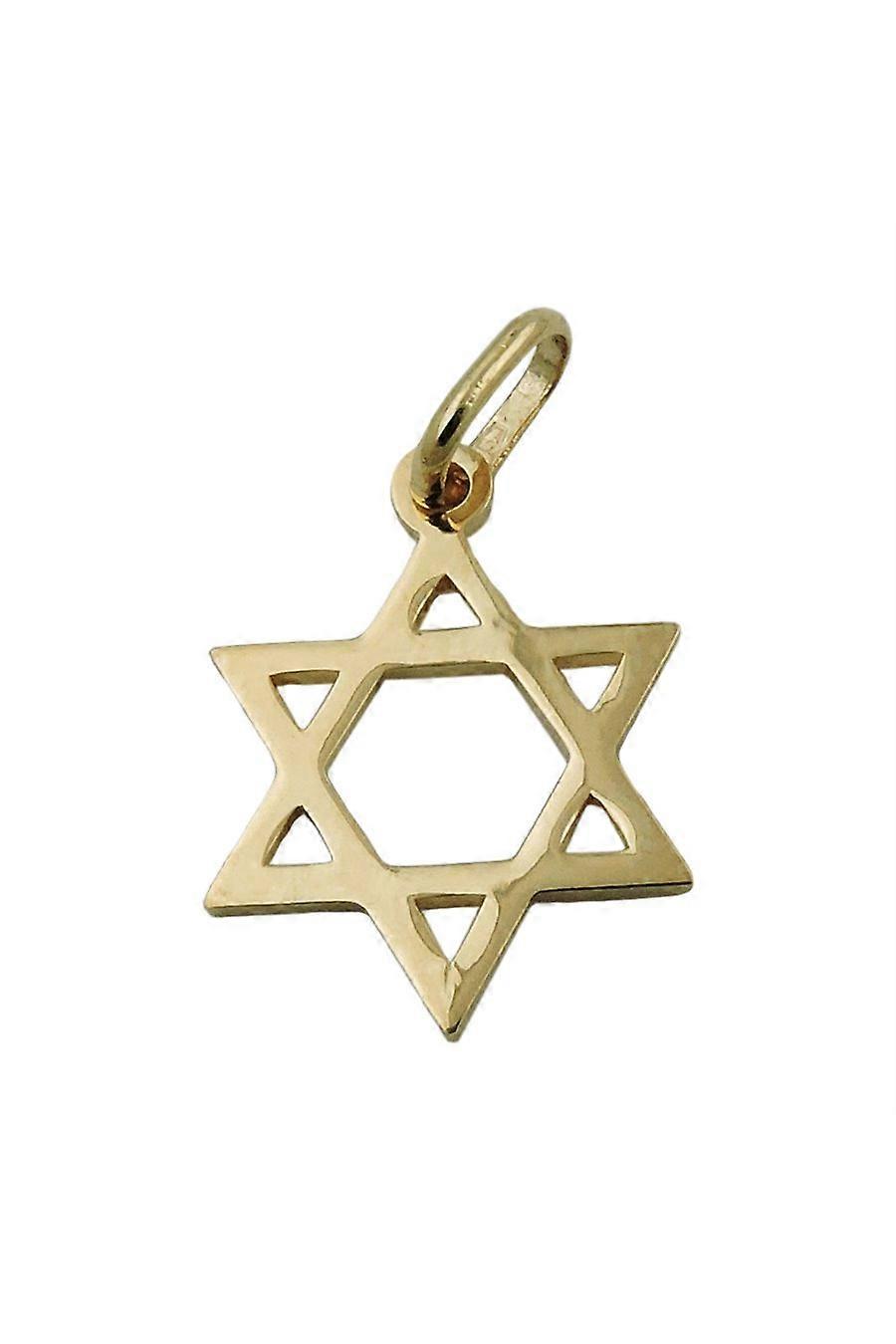 Pendant 21x18mm Star Of David Shiny 9k Gold - Gl431334