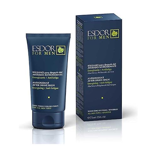 Antioxidant balm for men 75 ml