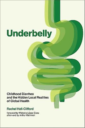 Underbelly by Arthur Kleinman Paperback