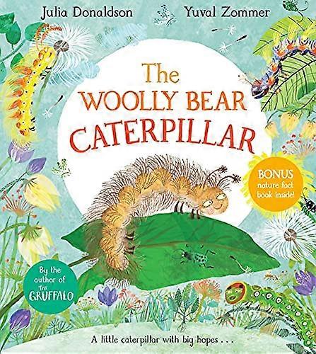 The Woolly Bear Caterpillar