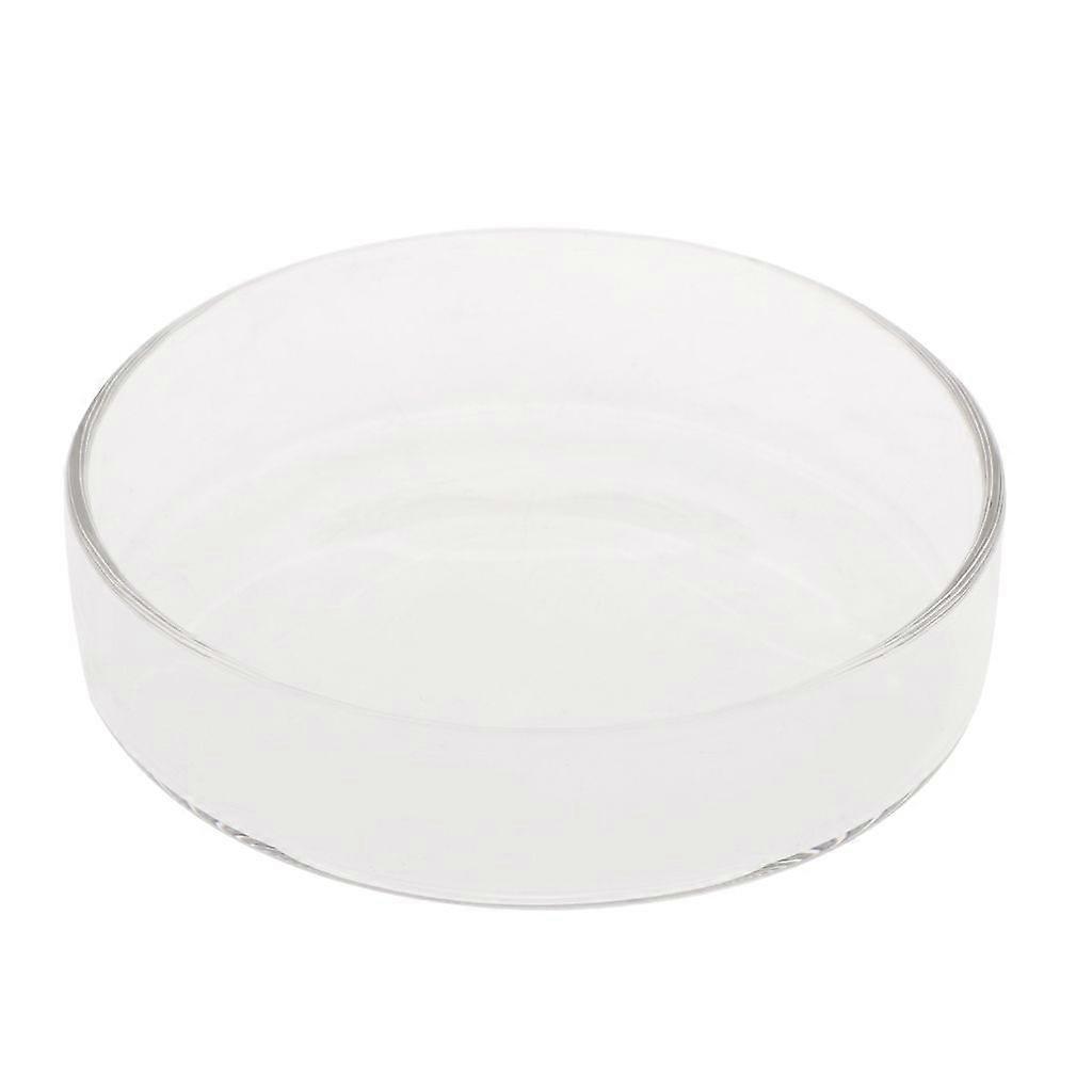 Shrimp Feeding Dish Glass Bowls Round Tray Aquarium Fish Feeder Multiple Sizes