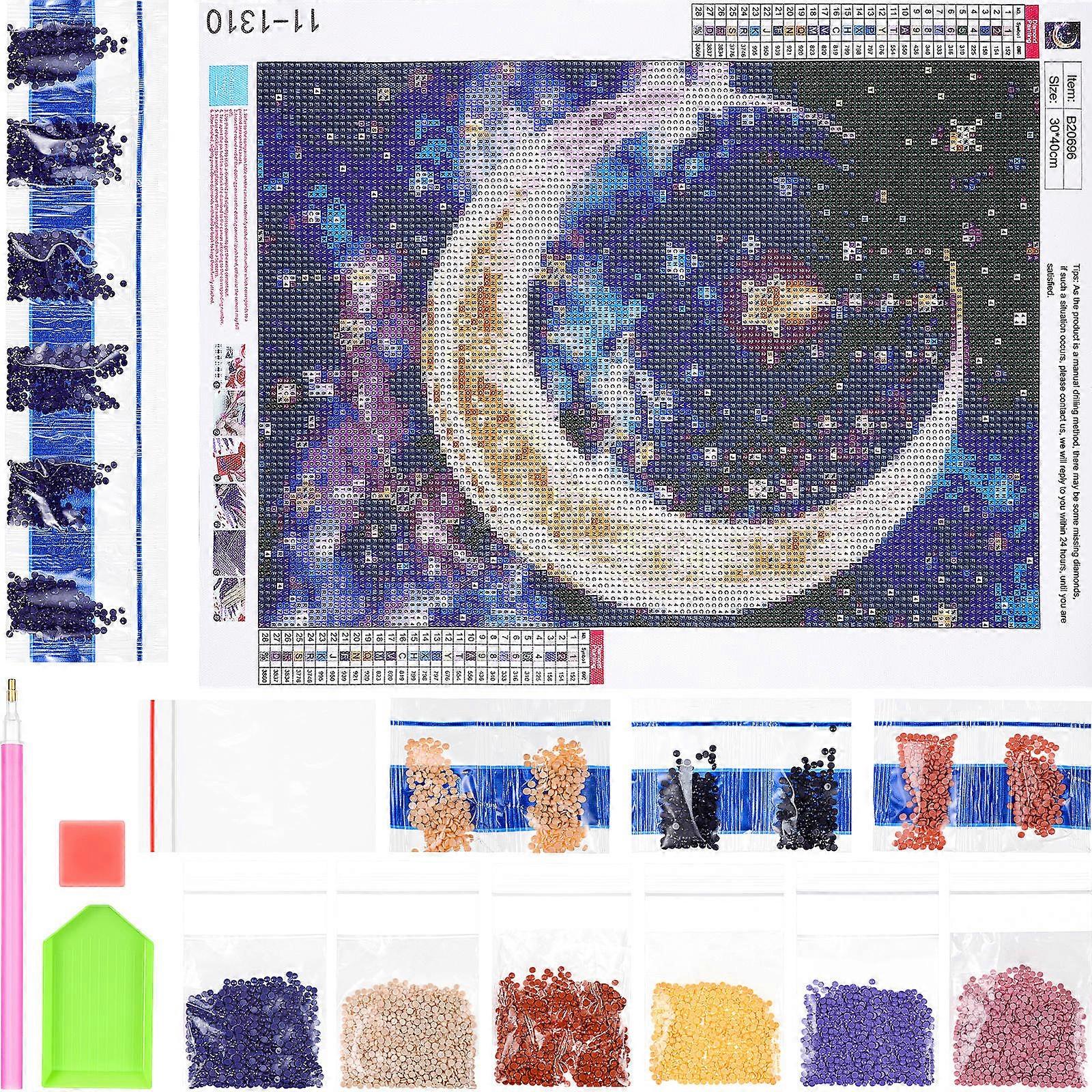 Diamond DIY Paintings Creative Art Crafts For Living Room Bedroom And Study Room Decoration 40.00X30.00X0.50CM Assorted Color Stress Reduction 2 Set