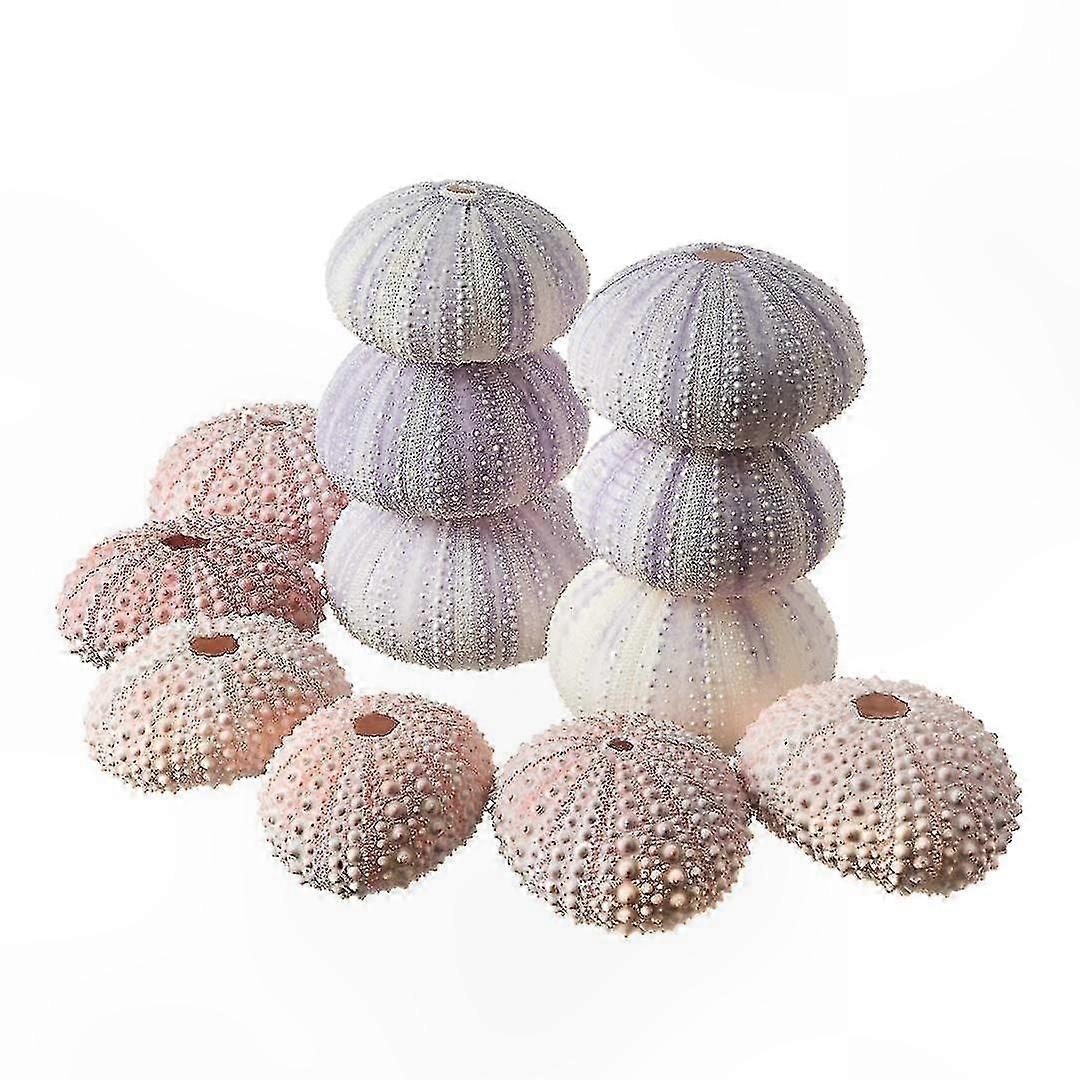 Assorted Pink and Purple Sea Urchin Shells for Crafting and Decoration Projects