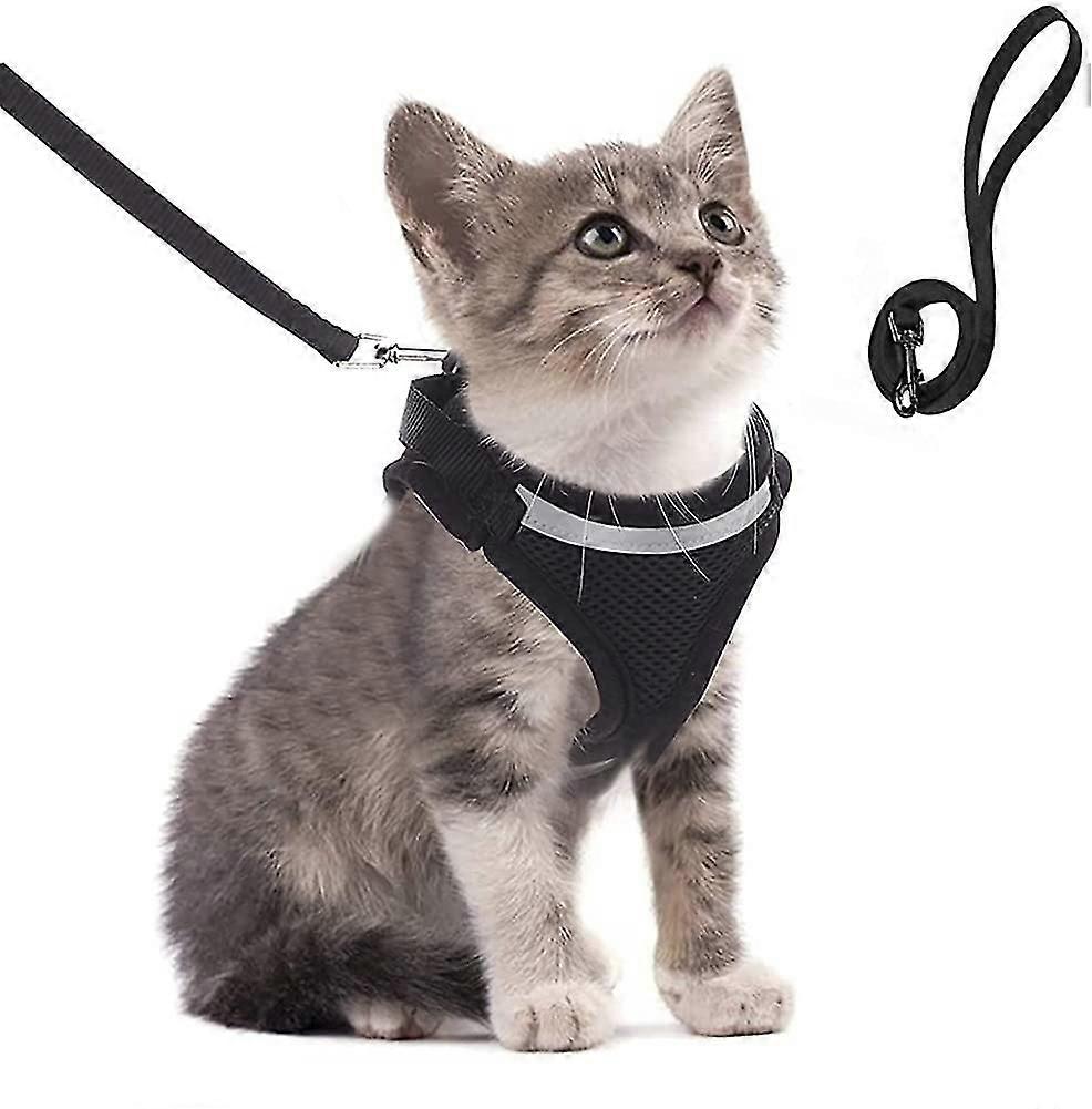 Kedi Koşum Takımı, Kedi Kurşun Seti, Kurşunlu Kedi Koşum Takımı, Koşum Takımı, Kediler, Kaçış Kanıtı