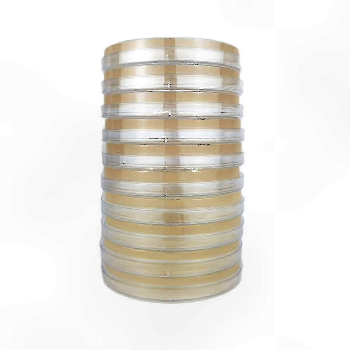 Mushroom Cultivation Agar Plates for Home Lab Testing & Science Projects - 10 Pack