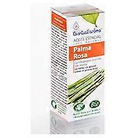 Rose Palm Essence 10 ml
