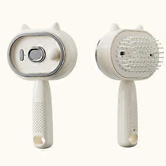 Electric Spray Massage Comb, Scalp Massager for Hair Care with Water Mist, Portable Rechargeable