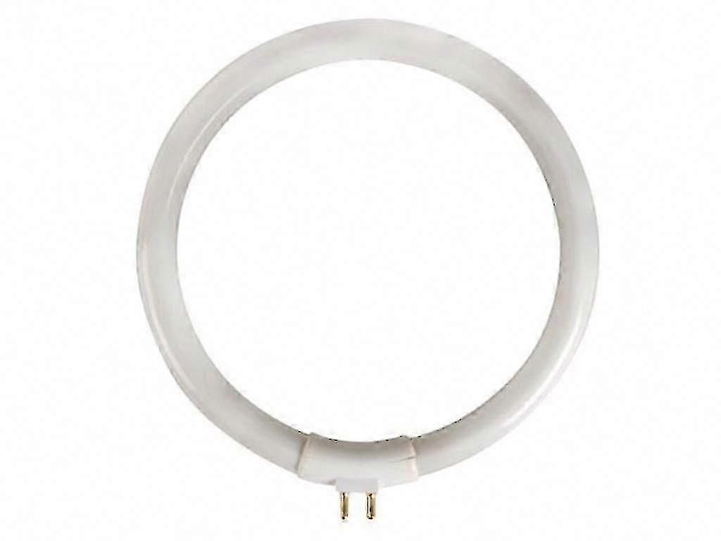 Cool White Circular T4 Fluorescent