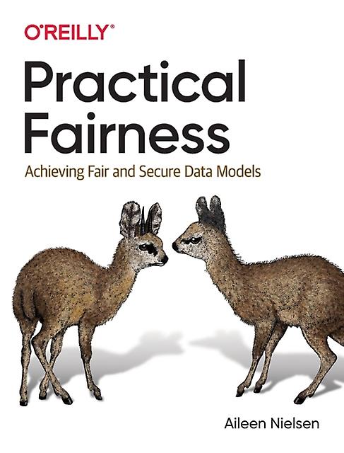 Practical Fairness von Aileen Nielsen Taschenbuch