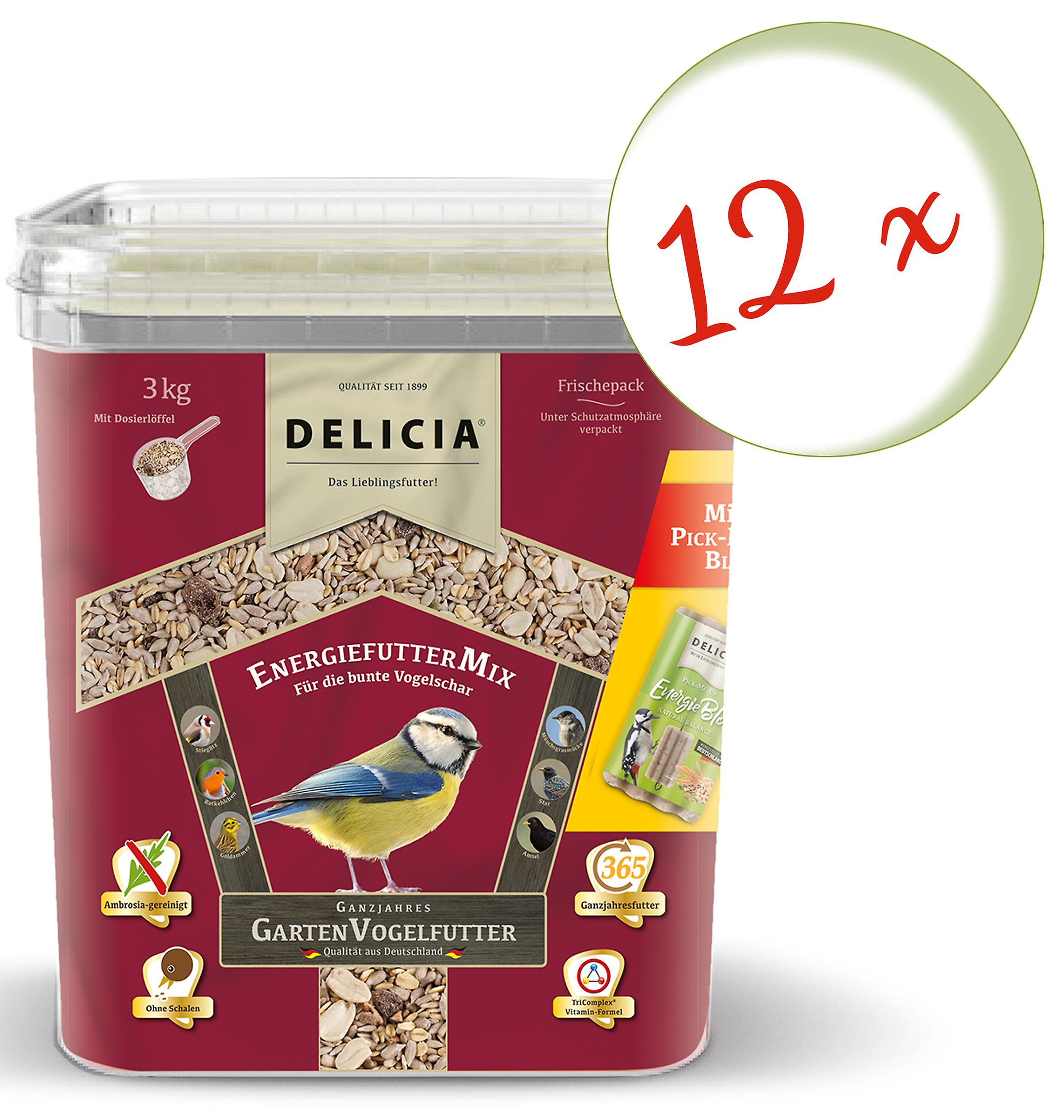 12 x DELICIA® Energy Food Mix, 3 kg