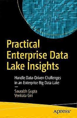Practical Enterprise Data Lake Insights