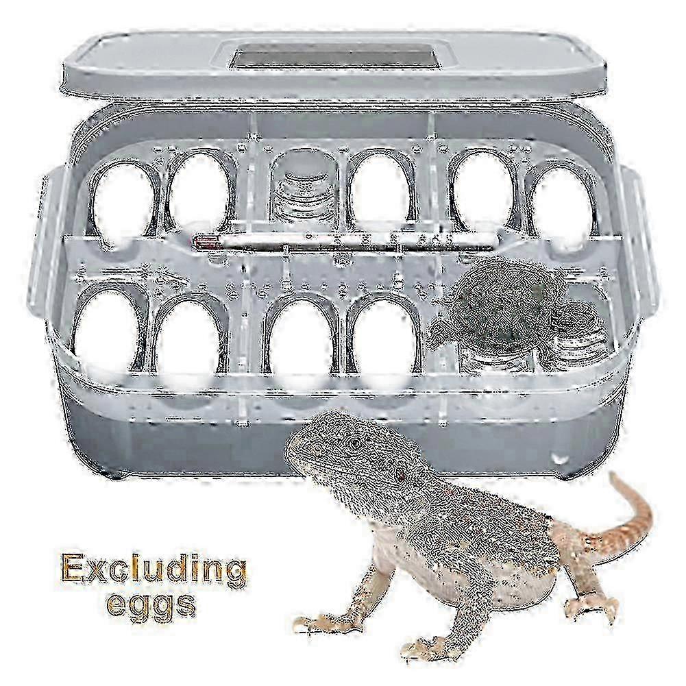 Reptile Egg Incubator with PP Material - 20L Capacity for Lizards & Turtles, Quick Cleaning -