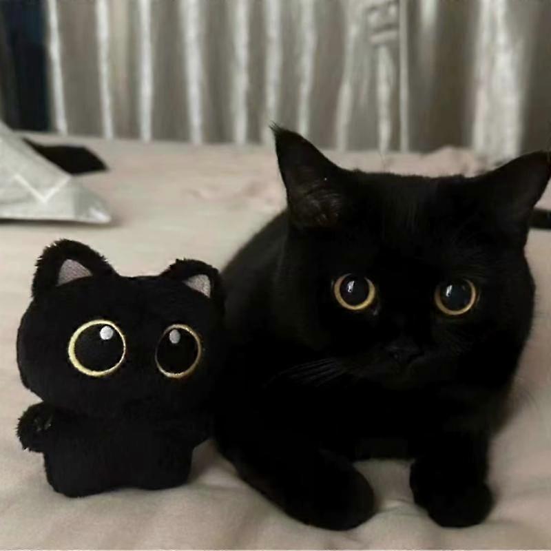 Cat Design Plush Toy, 1 Count Cute Cat Plush Keychain, Super Soft Cuddly Cat Stuffed Animal, Kawaii Plushies, Perfect for Teenager Birthday 