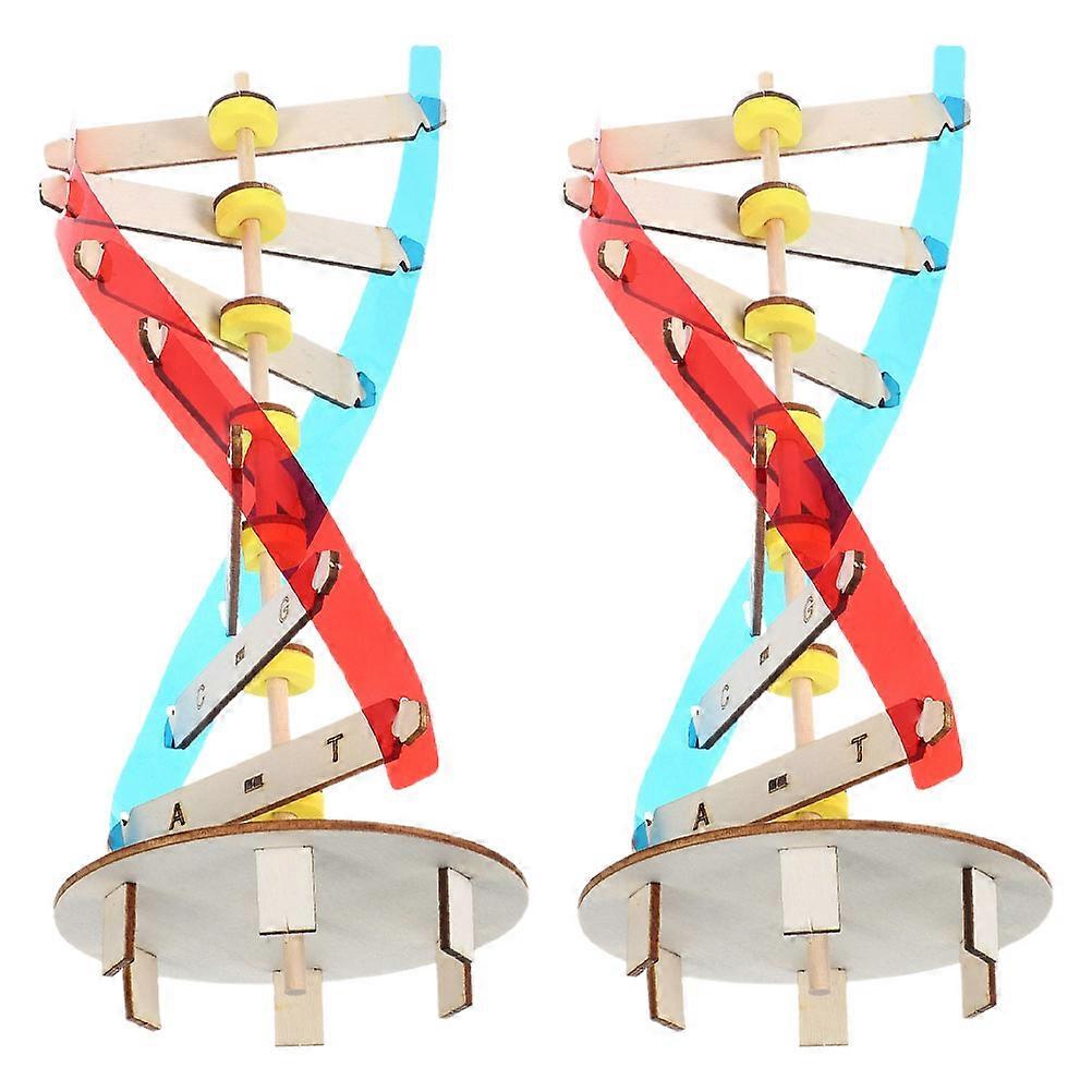 Dna Model Kit DIY Double Helix Structure for Science Teaching 2Psc Educational Toy