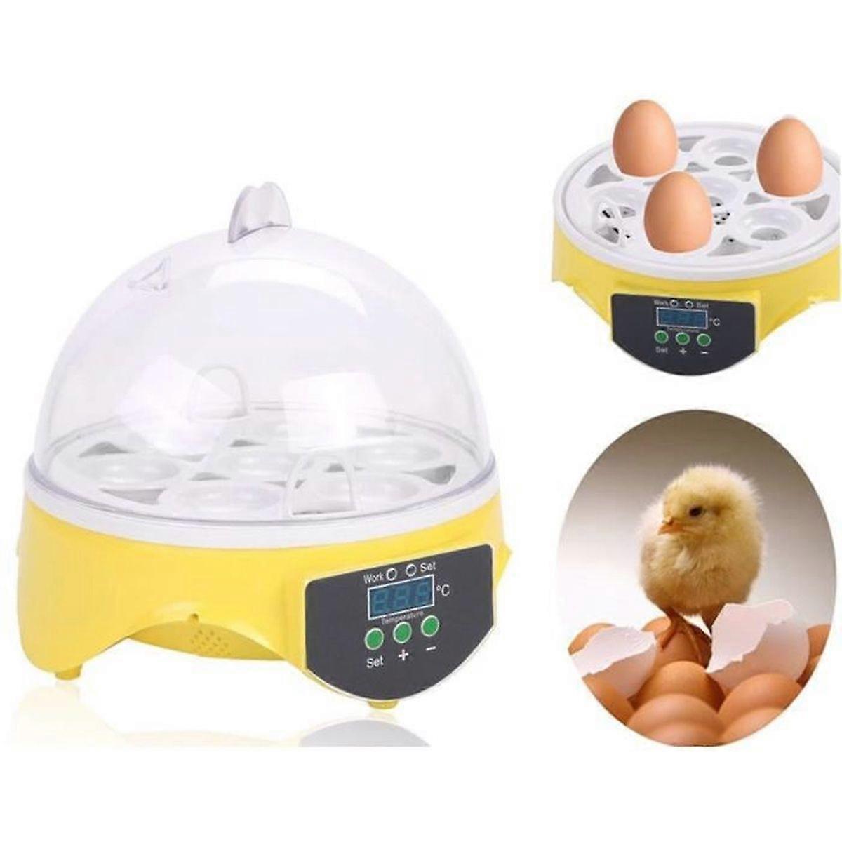 Automatic incubator - 7 eggs - Digital control - Integrated humidity control - Automatic egg turners