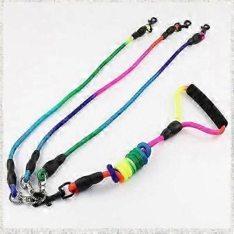 3-in-1 Detachable 56-Inch Tangle-Free Dog Leash