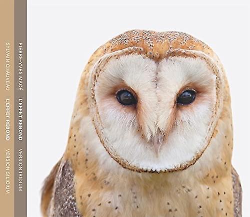 Sylvain Chauveau / Pierre-yves Mace - L'effet Rebond (Version Silicium / Version Iri [CD]