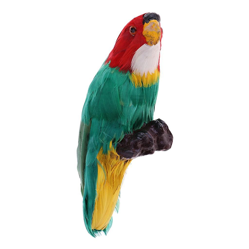 Simulation Animal Model Teaching Materials Animal Specimen Parrot