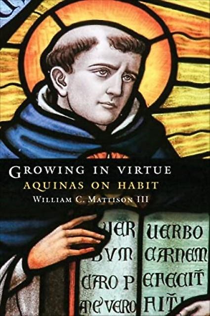 Growing In Virtue by Mattison & William C. & III Paperback Book