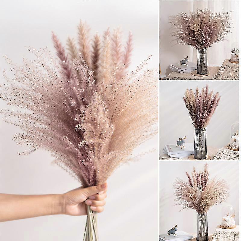 Bouquet de fleurs séchées Bouquet de fleurs séchées naturelles Roseaux Flores Pampa Épis de blé Setaria Pour la maison