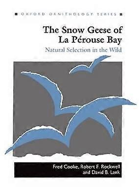 The Snow Geese of La Perouse Bay