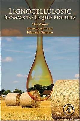Lignocellulosic Biomass to Liquid Biofuels