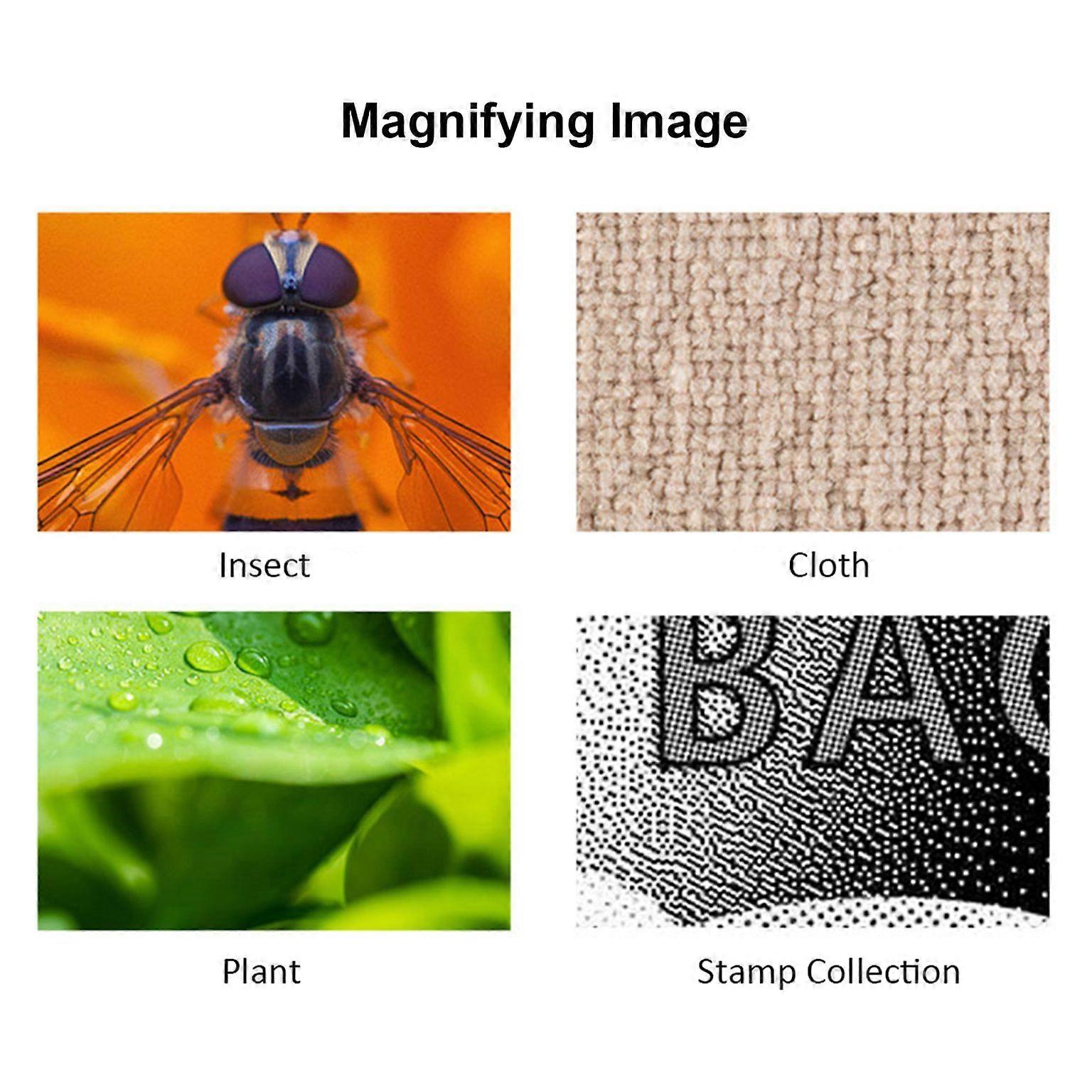 Tragbares tragbares USB-Digitalmikroskop mit Stativ - 1600-fache Vergrößerung