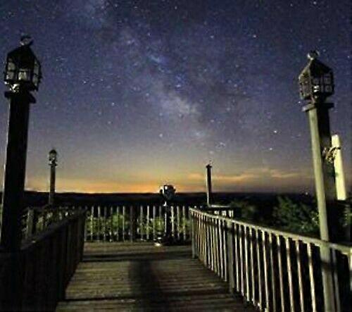 Prázdné květiny Čtyři CD