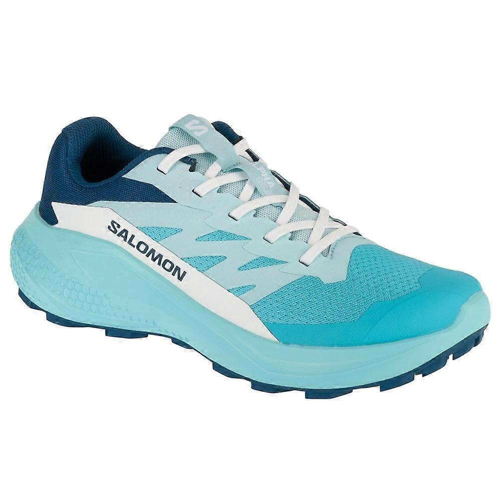 Shoes Salomon Alphaglide L47801600