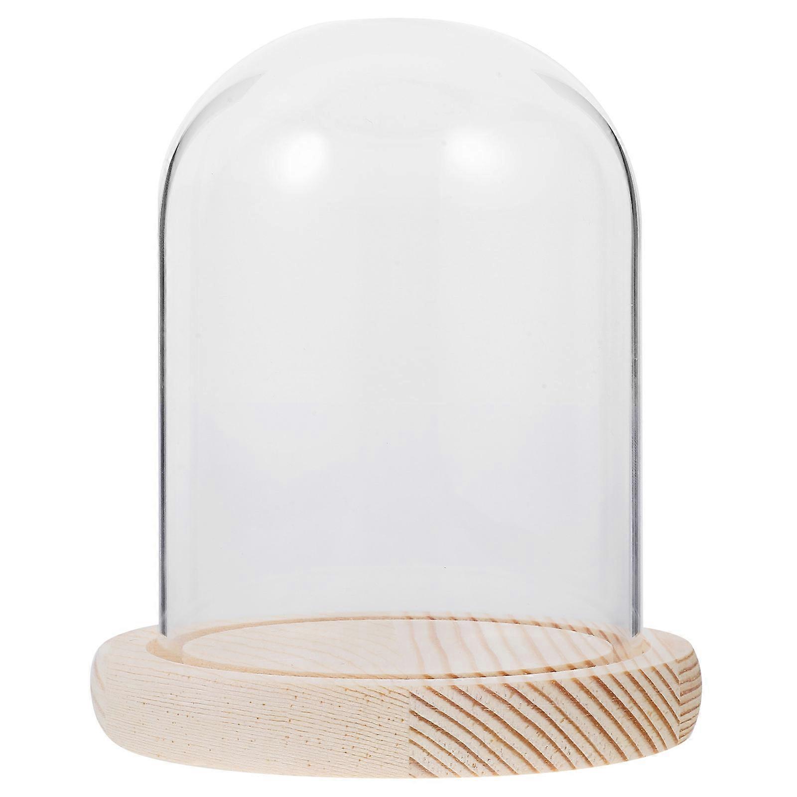 Glass Protector with Solid Base, Ideal for Food and Displays