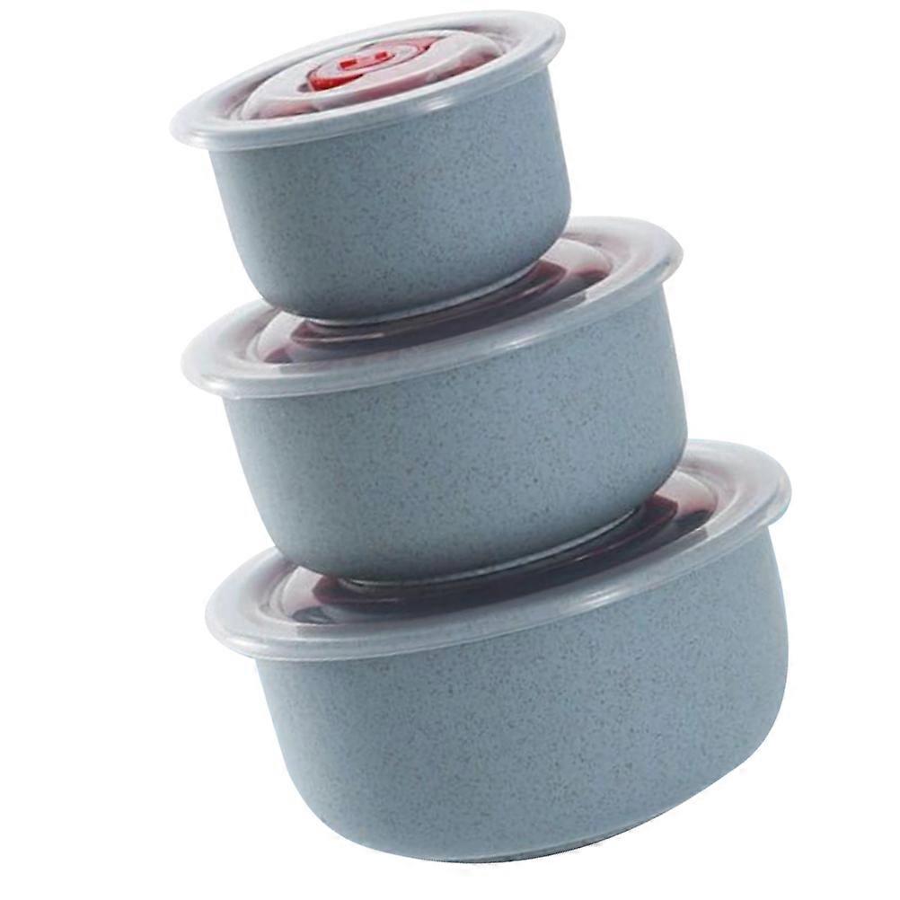 Lunch Bowl Straw Storage Box for Kitchen 3Pcs Food Storage Container Blue