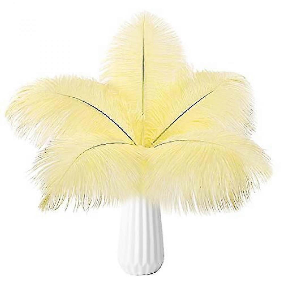 10 sztuk strusich piór Natural Bulk