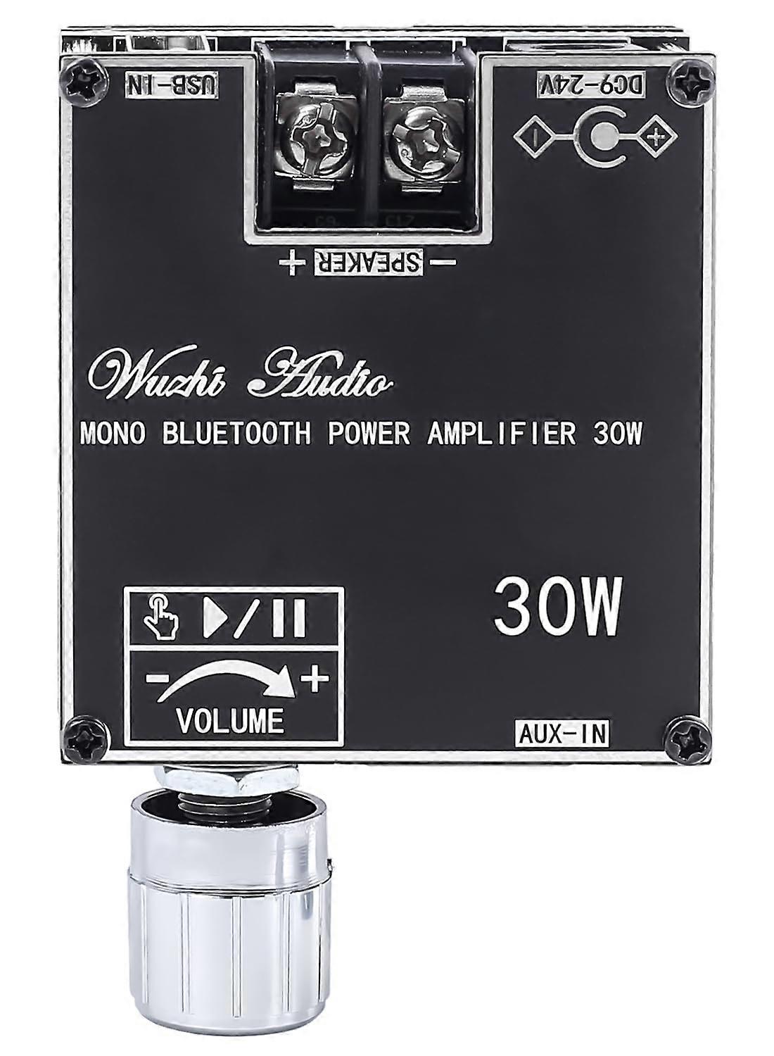 30W Bluetooth 5.3 TWS Audio Amplifier Board with App Control AUX USB Input for DIY Speakers