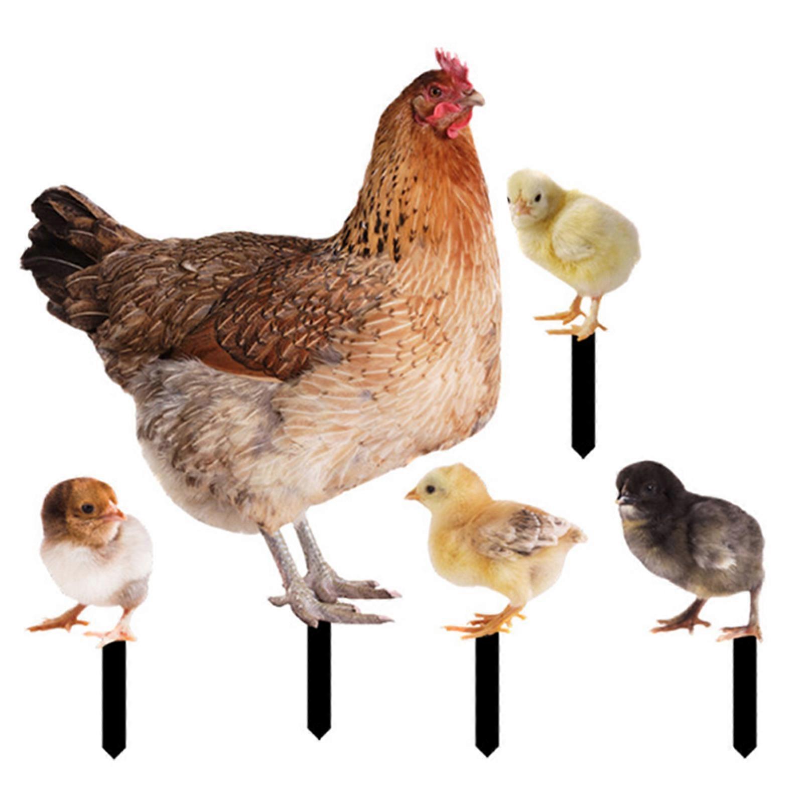1 ensemble pelouse poulet pieu simulation poules jardins d’art signe poule petit pieu de poussin