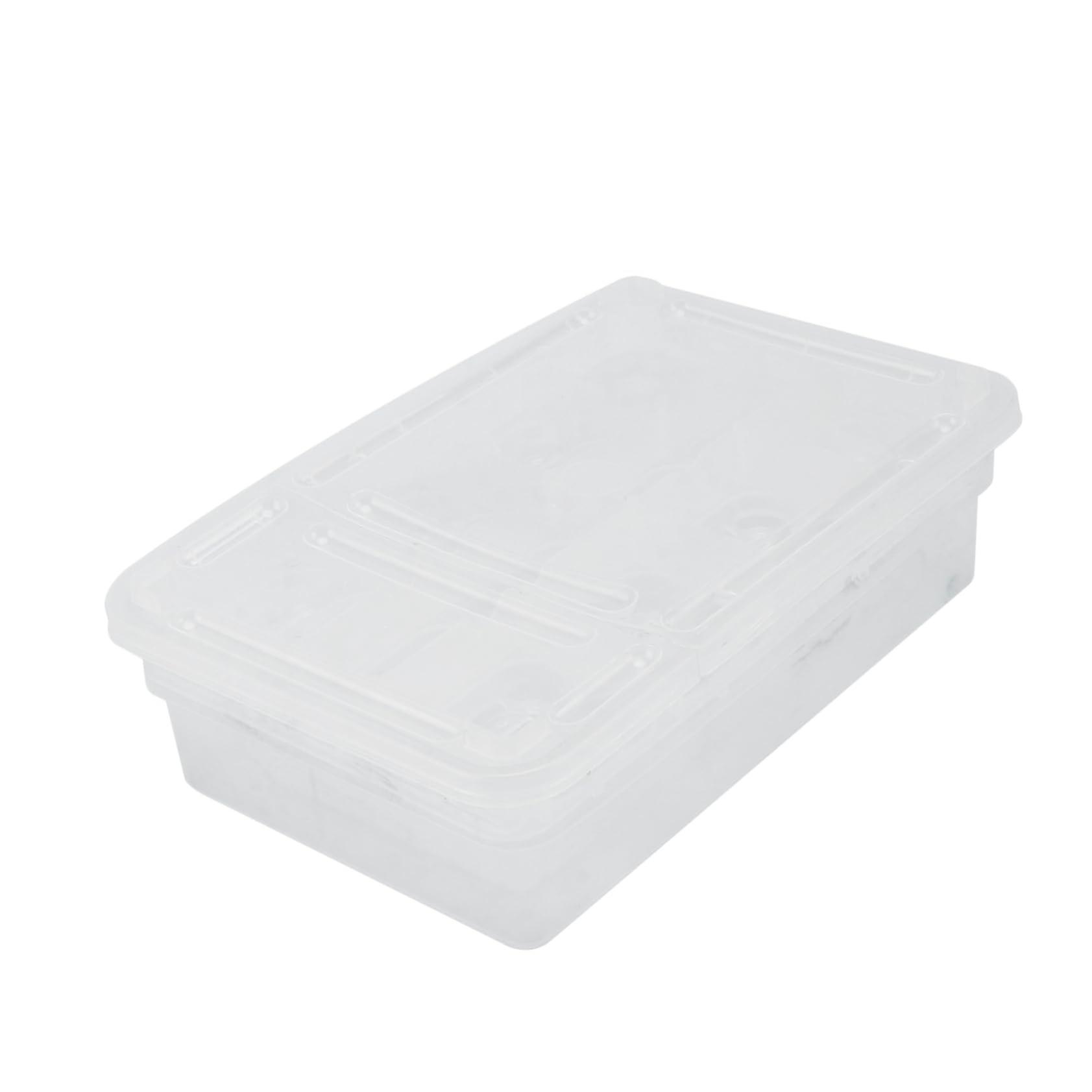 Transparent Reptile Egg Incubator Box with Compartments for Snakes Lizards Visible Hatching