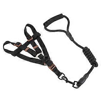 Dog Harness and Leash Set for Puppy Walking with 3Sets Included