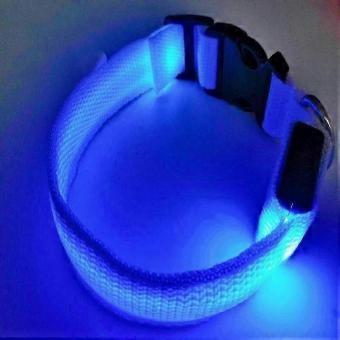 Waterproof Rechargeable Pet Glow Collar