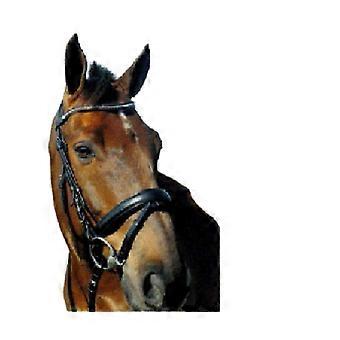 Linett Bridle for Horse