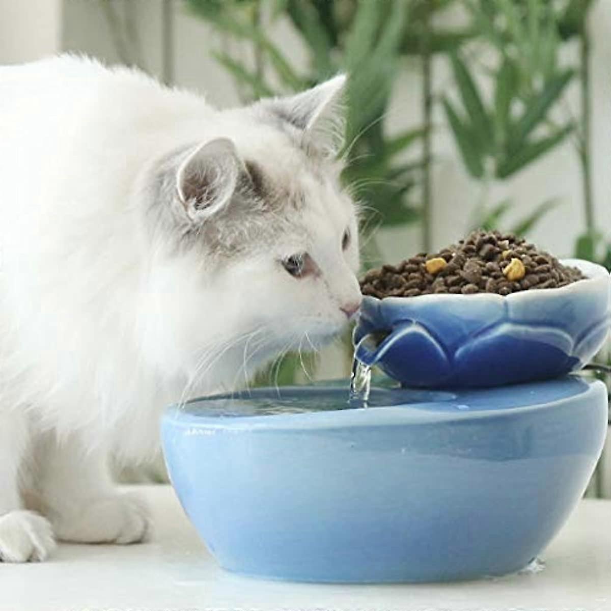 Best Cat Water Fountain Uk ROSE CREATE Ceramic Cat Drinking Water