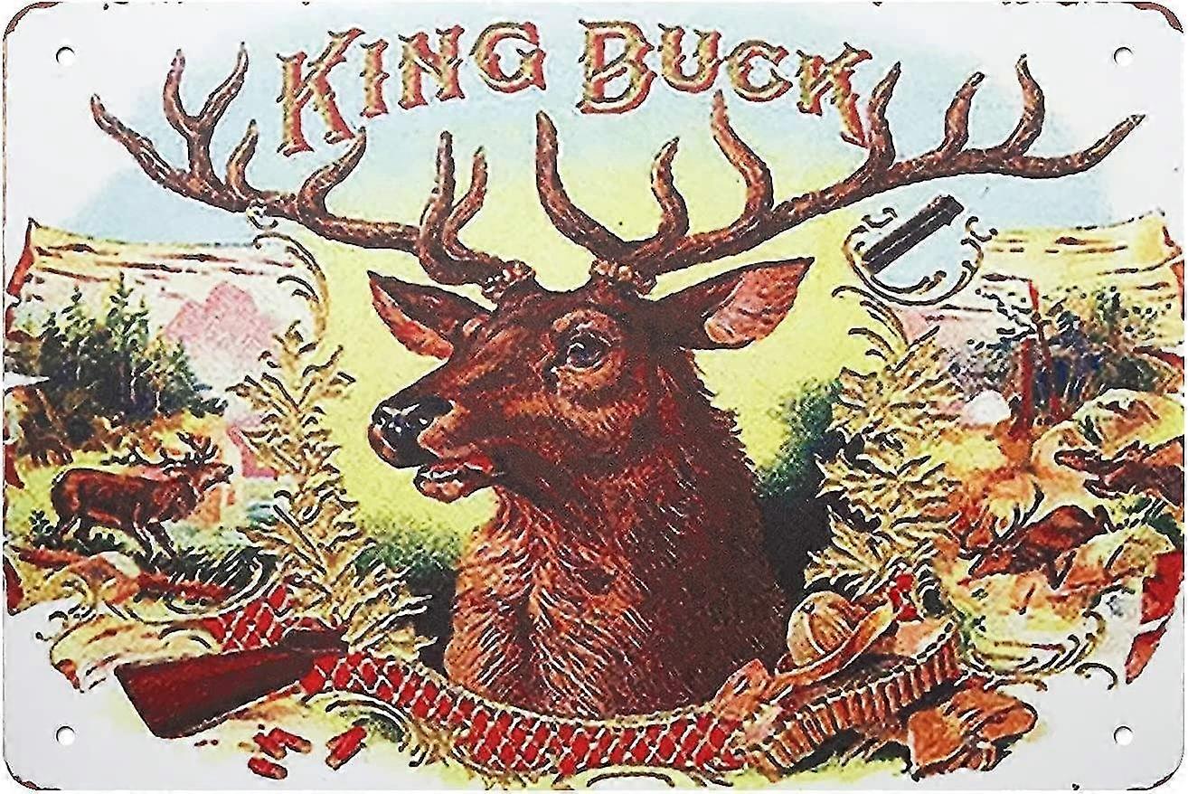 Vintage olhar engraçado metal sinal de lata 8x12 polegadas ou 12x16 polegadas, hula menina na costa Aloha Hawaii Sign, para L