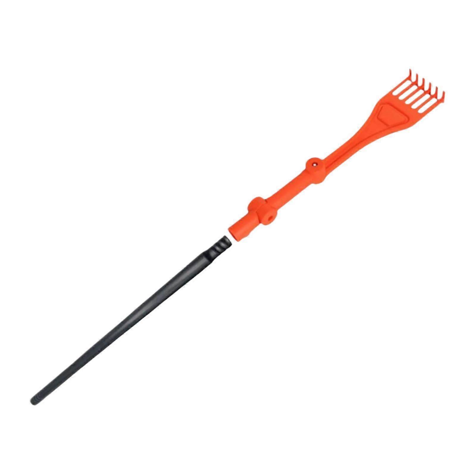 Yaprak Tırmık Portakal Bahçesi Yaprakları Toplamak İçin Tırmık Çim Çiçekleri Yatakları