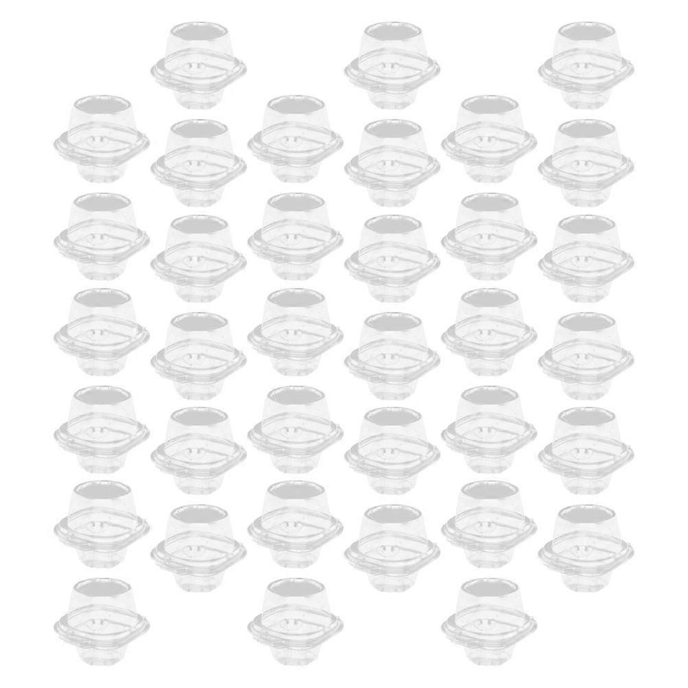 Egg Tart Paper Cups Plastic Containers for Storage Use 100Pcs Transparent Boxes