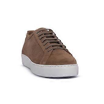 Exton taupe camoscio scarpe