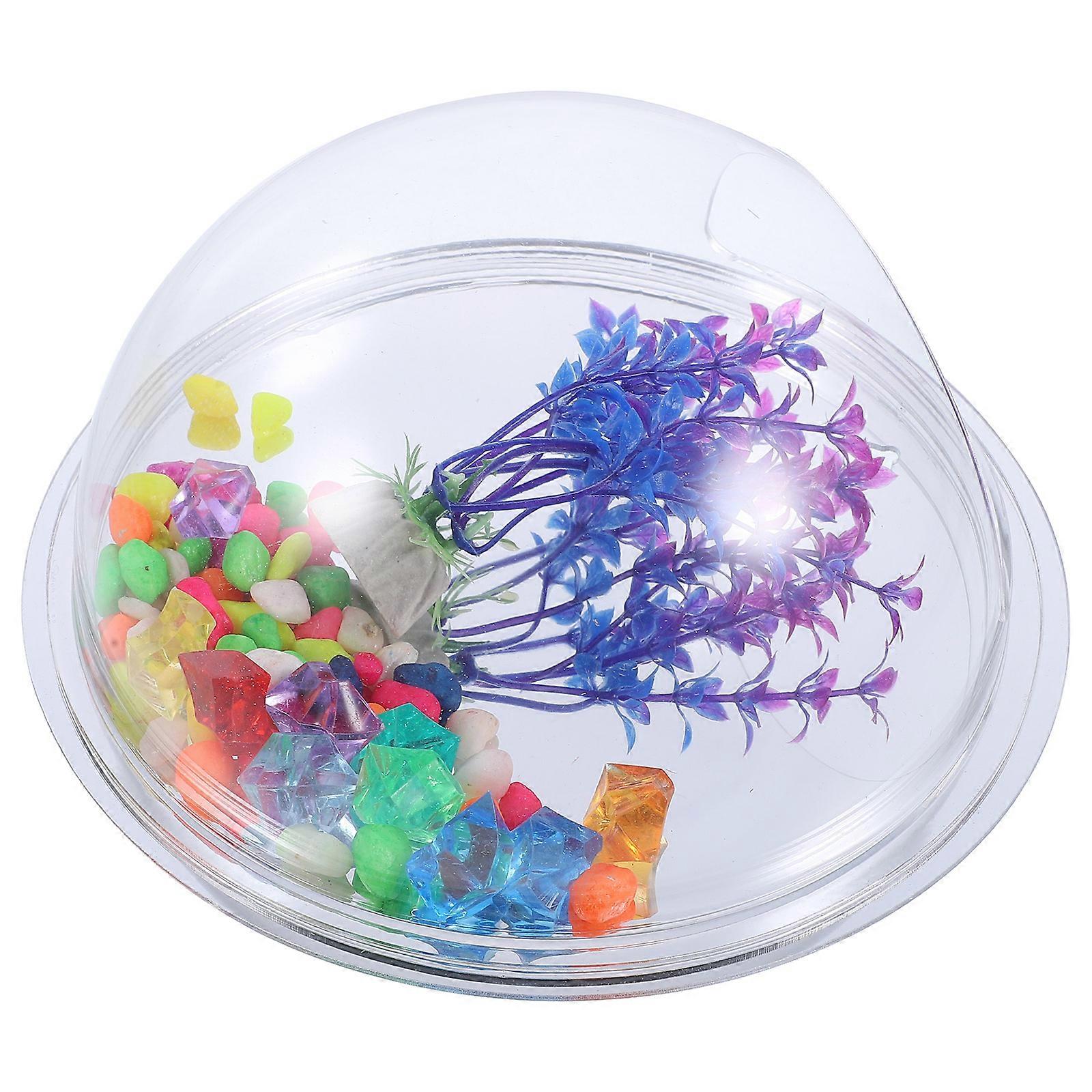 Hydroponic Planter Transparent Wall-Mounted Fish Tank Decorative Wall Planter Multi Acrylic 1 Set