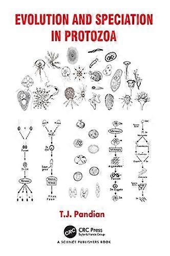 Evolution and Speciation in Protozoa